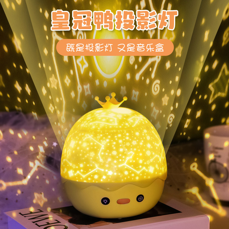 Lamp with projector