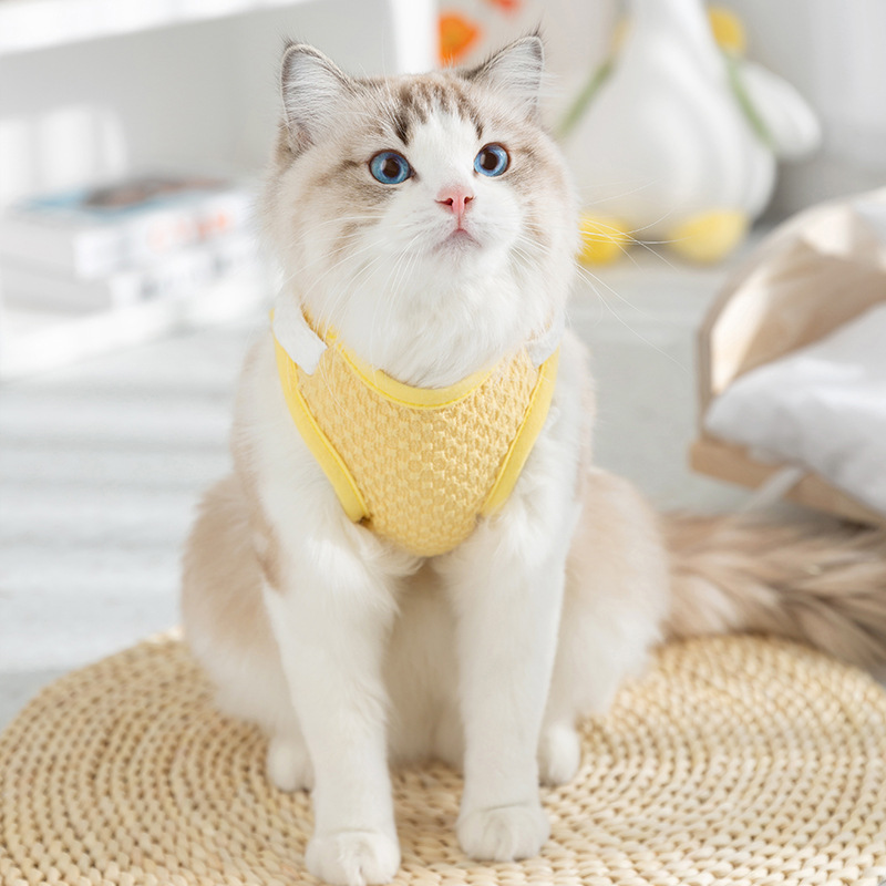 Gato primavera y verano estilo fino transpirable divertido gran bolsillo de ganso blanco chaleco de tracción perro de dos patas mascota ropa de peluche