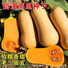 �����ϹϷN�Ӵ����＾�ļ������۱���Ŵ�t���������ó��ϹϷN����