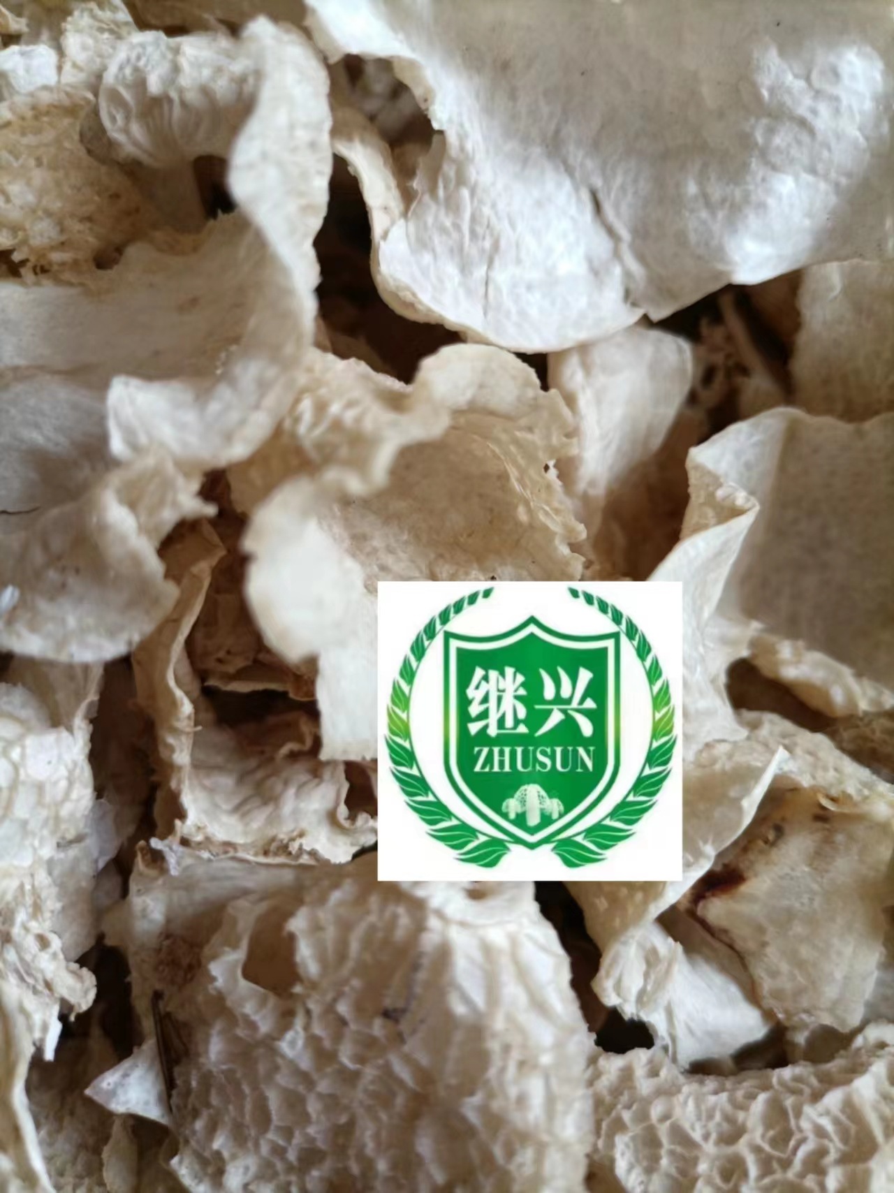 微信图片_20231116112955