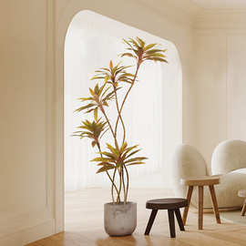 仿生朱蕉室内客厅落地假植物奶油风沙发旁仿真绿植高端轻奢