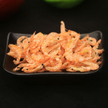 ���r��؛ �rƤ �t���r ���� ���r�� ���� ���rˮ�a��؛