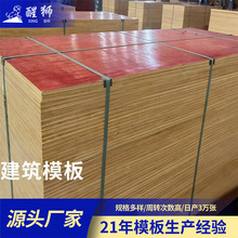 �S�����l��Ҏ�񽨺Bģ�幤��ľ���� �������ȸ�ģ�彨�B��Ĥ��