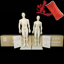 ᘾĽ�Ѩģ�Ϳ�������z�����ɫ�������t�Wᘾ���ȫ��ģ����Ů