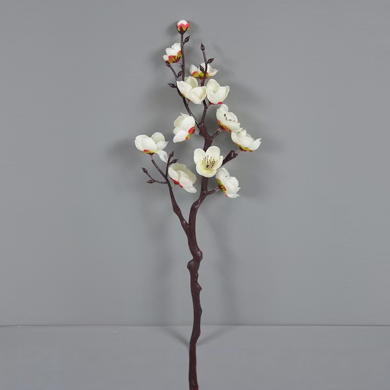 샤오시우 메이 화이트