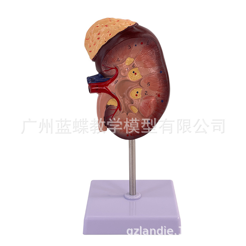 2���Ŵ�����Ŵ�ģ�� �Ŵ�� ������ģ�� 1���� �����������ģ��