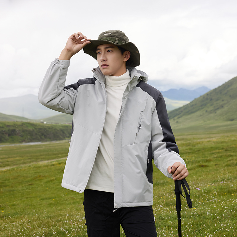 수컷 밝은 회색