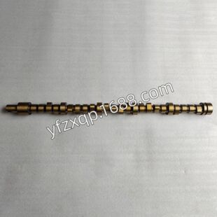 ��ҰV26C�l�әC͹݆�S RANGER V10����Camshaft HINO���̙Cе���