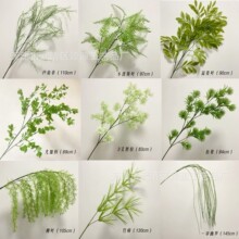 ����Gֲ �J��������՚�ݺ����~ ��c�廨��Y�þGֲ�b��û�