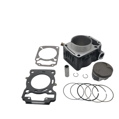 Cylinder and parts Parts Aprilia