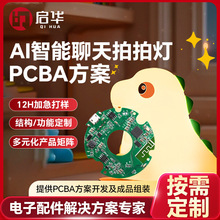 ���������Z��Сҹ��pcba����usb��ڿɻ������ğ����ư��_�l�S��