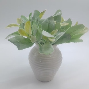 �羳؛Դ����ֲ�qС̖��֧����~�廨�b��}�Q�b����