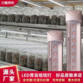 植物生长灯;支架;定时器插座