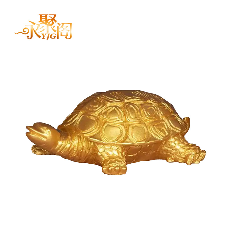 황금 해변 거북이