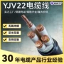 检测高压平方10kv-3电缆