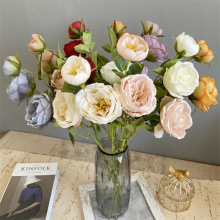 ����3�^С�W˹͡õ�� ���W�Ҿӽ����軨�_�Ĳ�õ�b羳���Q��c