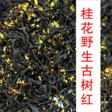 ����P�c��Ұ���Ř�t���~ɢ��500��