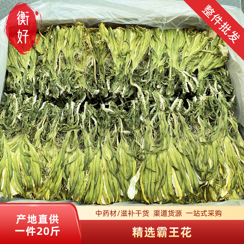 现货供应精选霸王花  青绿剑花干新货广东特产广式煲汤料药材批发