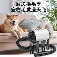 狗狗吹风机中大型犬宠物美容台吹水机速干器大功率吹毛拉毛一体机
