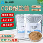 COD耐盐菌好氧菌剂COD去除剂工业污水处理菌污水处理菌种降解cod