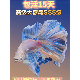 ̩�����~�W�t�鼆�~�۰װ���С�͟Ꭷ��ˮ�~�ͻ��w���B�Č�����~