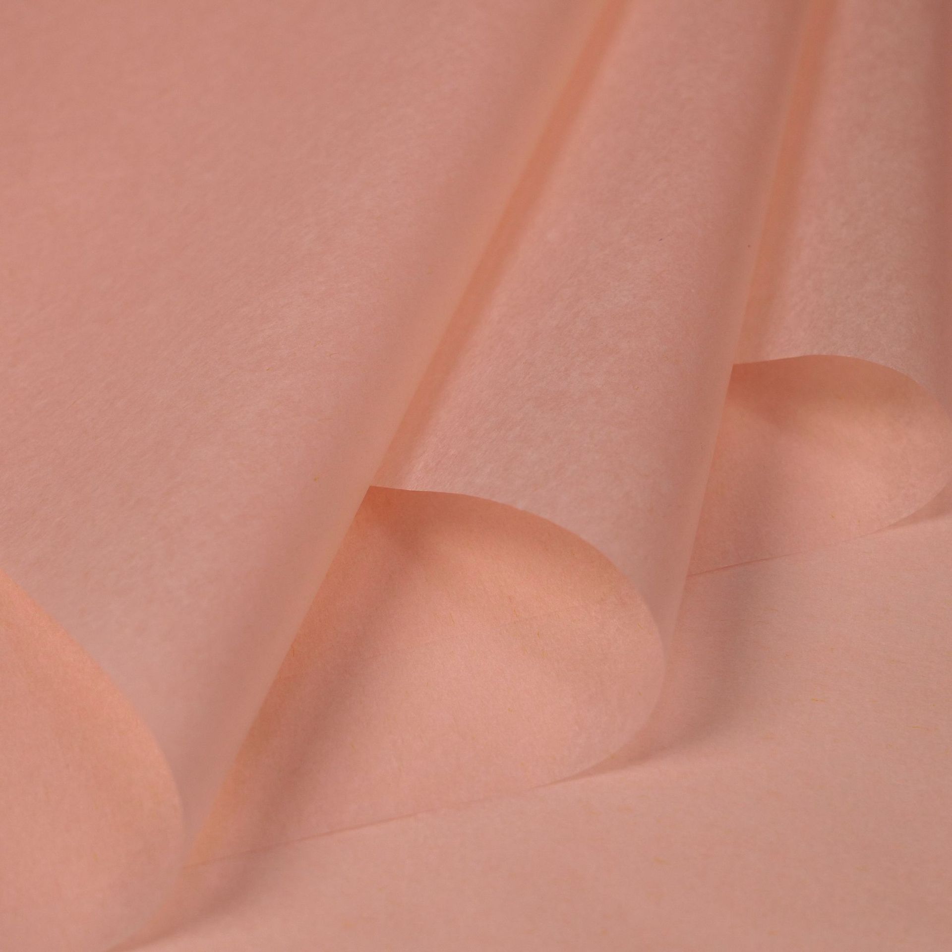 솔리드 컬러 샴페인 핑크 36 사진