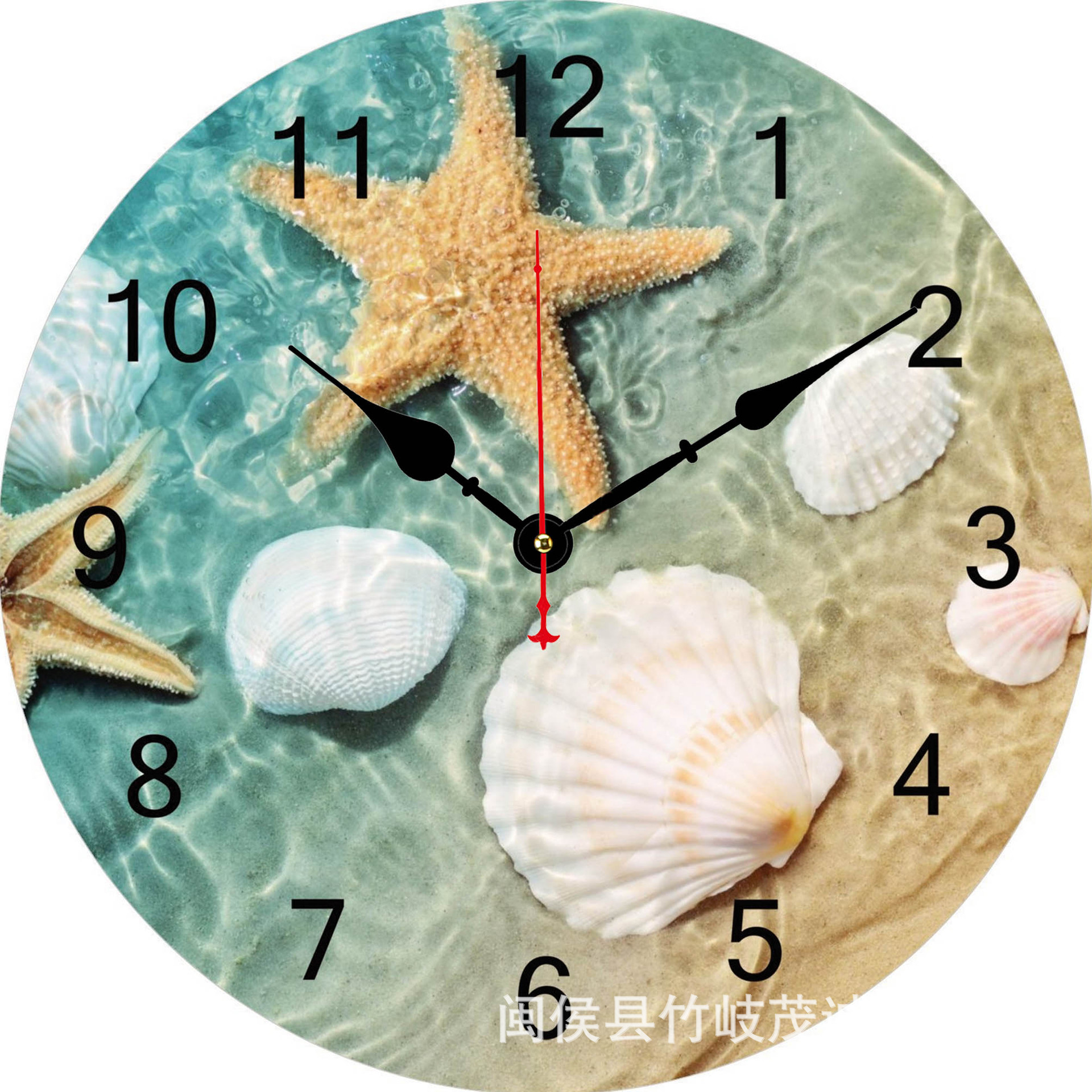 34cm 껍질 불가사리