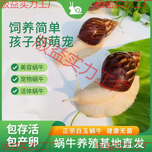 ΁ţ���l�W���^�p����[������ֳ�����