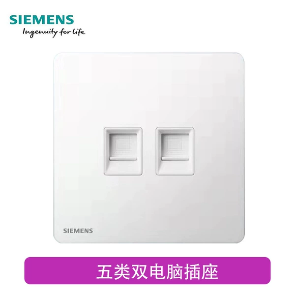 Dual computer