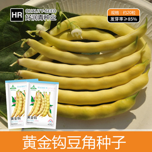 �S�����l�S���h���ǷN�Ӗ|���Ͷ��N�Sɫ�ļ������＾�ܶ�ܿ������