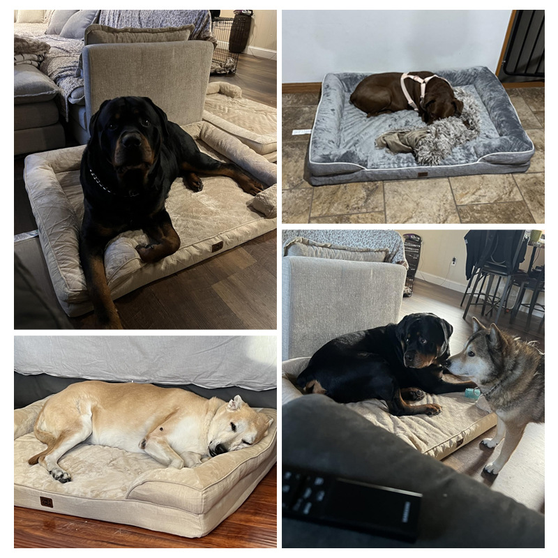 Amazon sofá cama para perros 28D esponja de compresión para perros de tamaño medio cojín de cama para perros desmontable cojín de cama para dormir