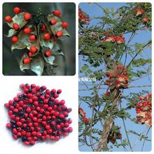 ��ľ�N���uĸ���N�����˶��N����˼���N����˼�Ӽt���N�ļ�ͥԺ