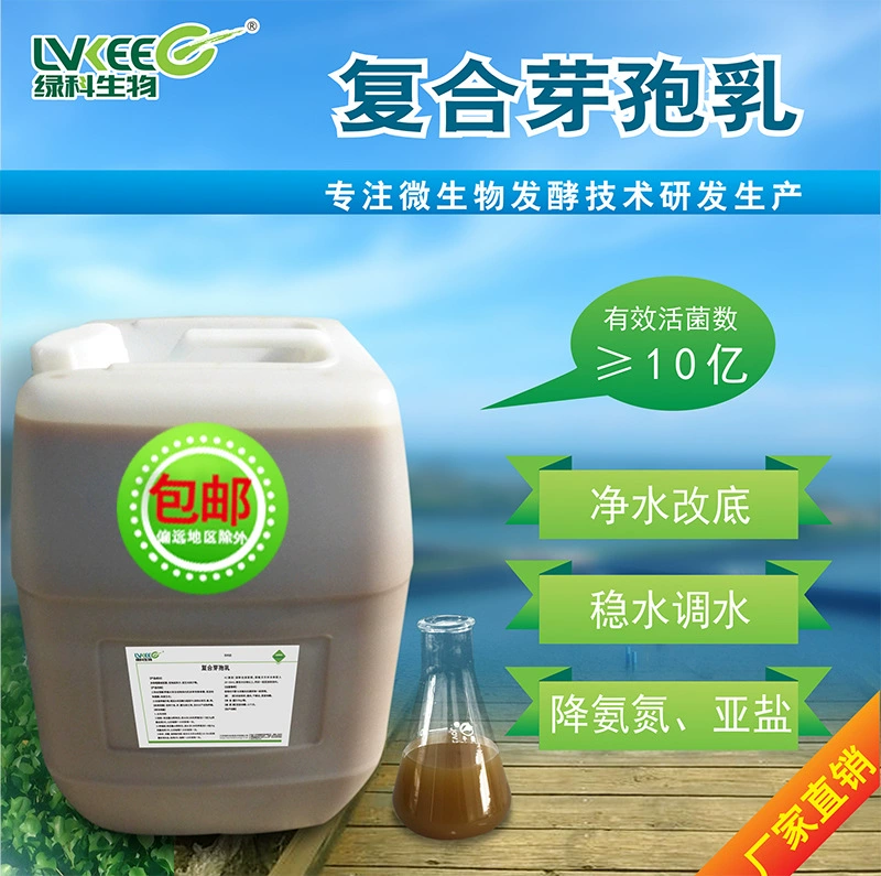 Составное споровое молоко 1 миллиард аквакультура Смешанная кормовая вода очистка качество воды разложение остаточная приманка