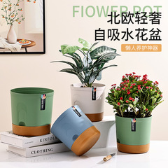 北欧家庭用シンプル陶磁器植木鉢モランディ風多肉緑植植木鉢現代個性緑羅バラ皿