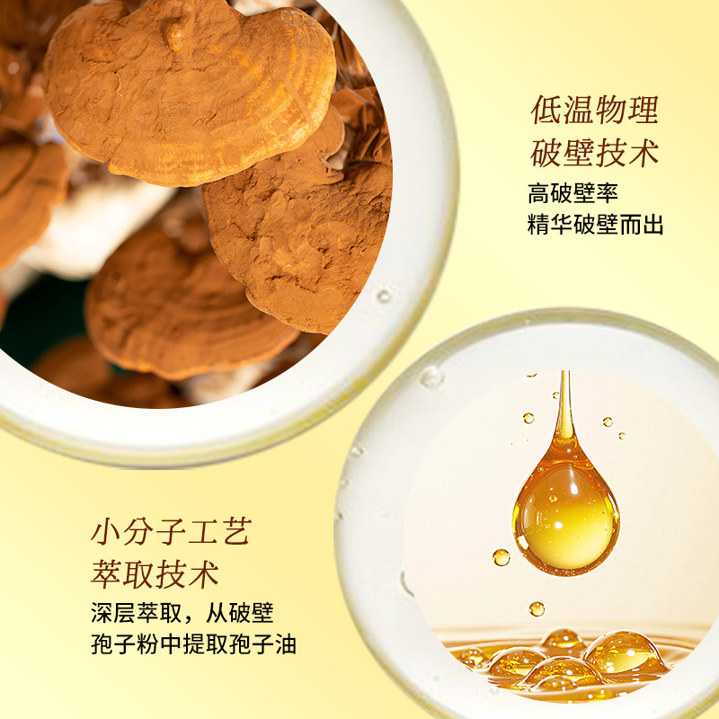 蓝帽灵芝孢子油软胶囊三萜高含量厂家定制增强免疫力灵芝孢子粉|undefined