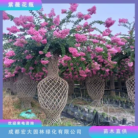 乔木;灌木;景观工程项目