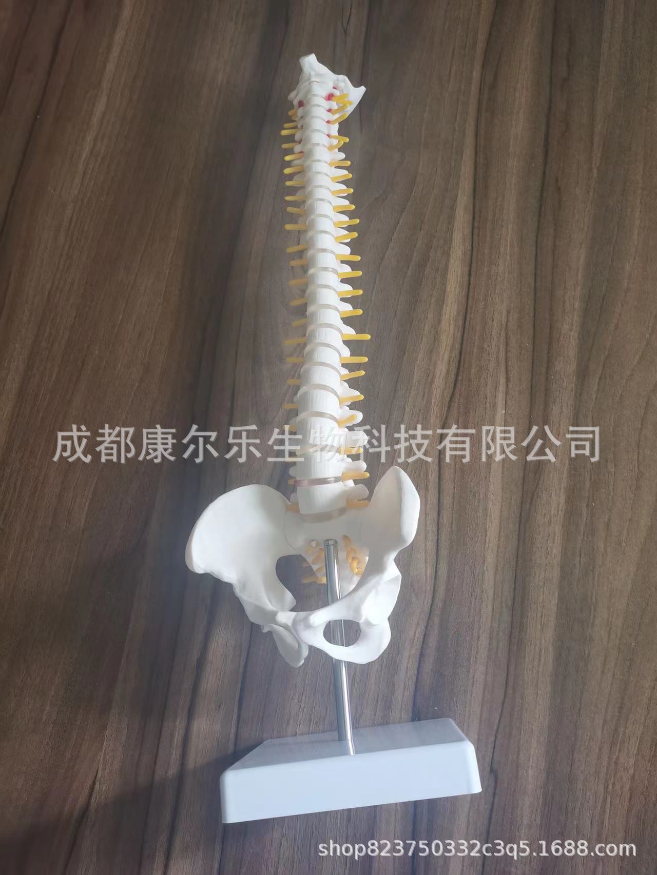 微信图片_20220805092735