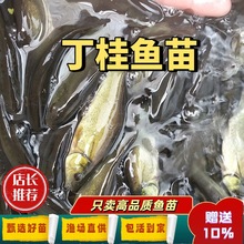 �����~�絭ˮ�Bֳʳ���^�p�~��ˮ�~���B�ͻ�W�޶��F�~С�~��