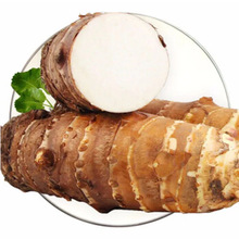 山东长香芋产地直发炮弹芋头包邮新鲜芋头长芋头一件代发