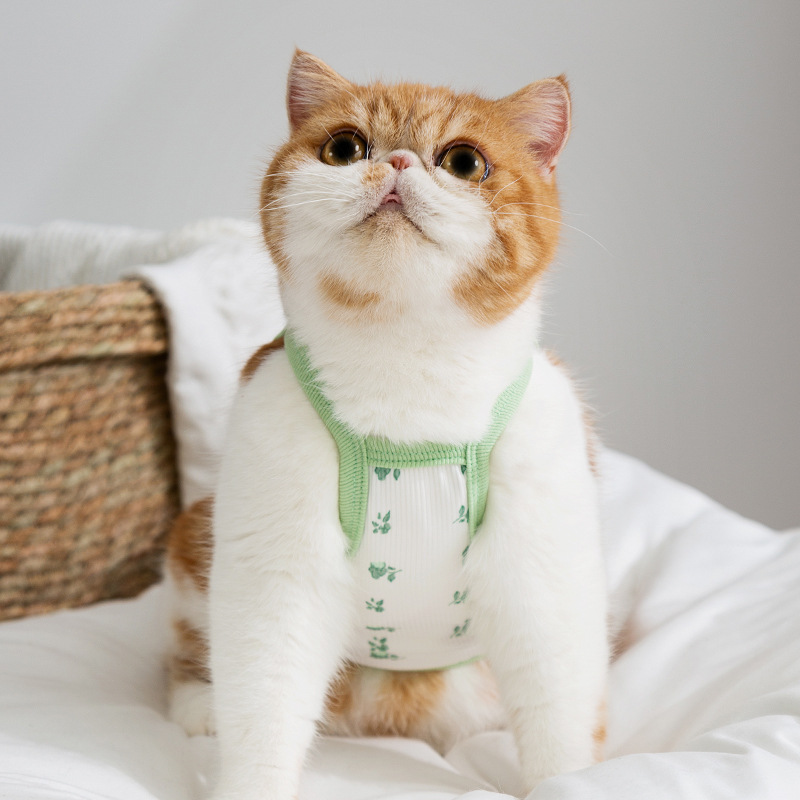 Primavera y verano gatos lindos transpirables delgados claras pequeñas flores de cabina perros Teddy perros pequeños mascotas ropa de gato