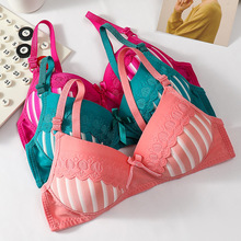 2024�¿�o�Ȧ����Ů�۔n�������m͸����߹������{�����������Q