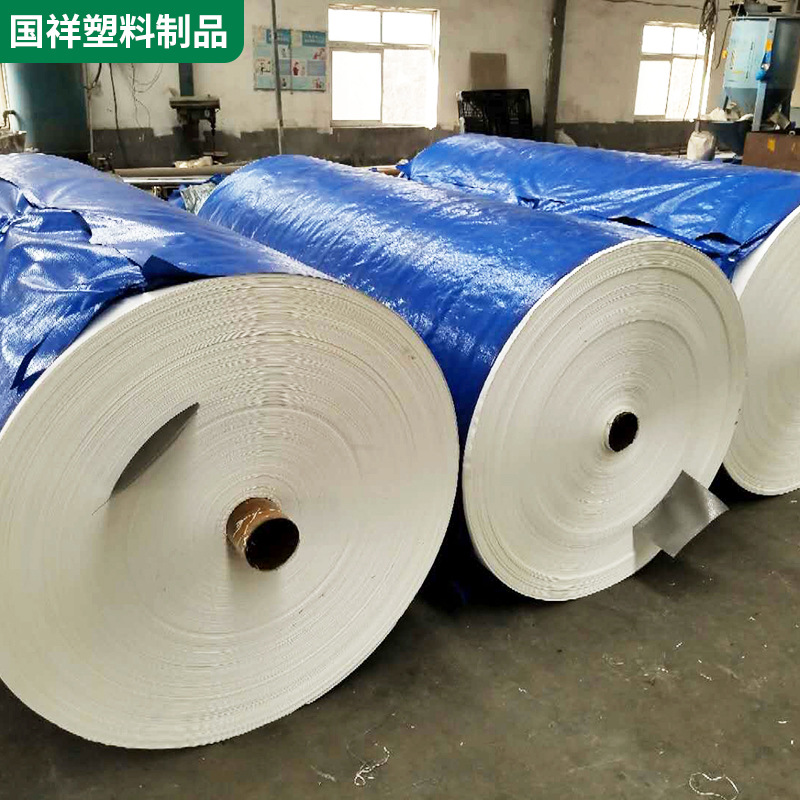 批发PE透明大棚布种植大棚温室养殖园艺防水篷布户外加厚盖布棚布