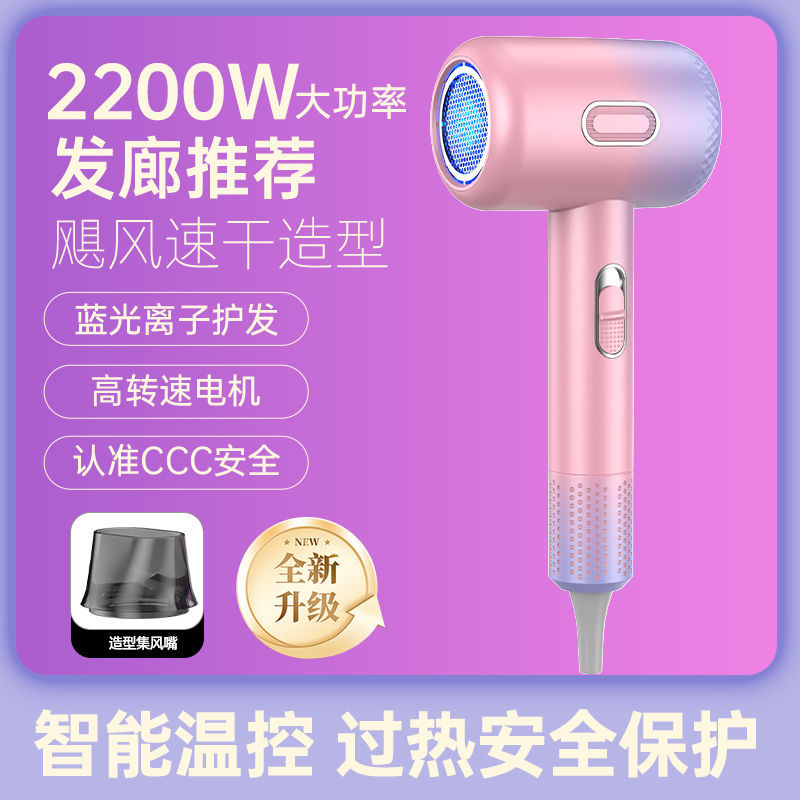 펑치 헤어드라이어 2200w [그라디언트 컬러]