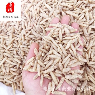 �������l��������ș�������Ĵ��������l һ��  �������l����ș��