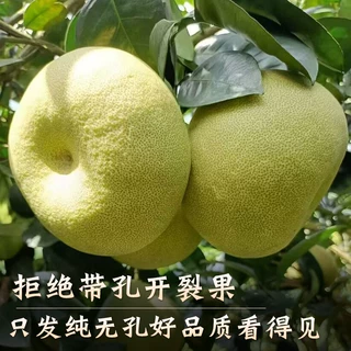 福建度尾文旦柚子莆田仙游特产时令新鲜水果孕妇（支持一件代发）