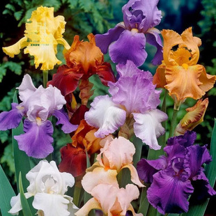 �ر�ֲ���҃��̨���Ե��Sβ���Sβ��ͥԺ���ܾGֲ������������