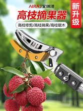 ժˮ��������s�U��ժ��֦������÷�������֦���߿�֦���ü���