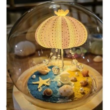 海胆贝壳小夜灯手工diy成品闺蜜生日摆件活动装饰玻璃罩成品礼物