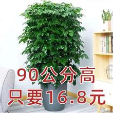 ҸGֲk҃ȿ͏d͏d辰ܾGֲ_IͶY