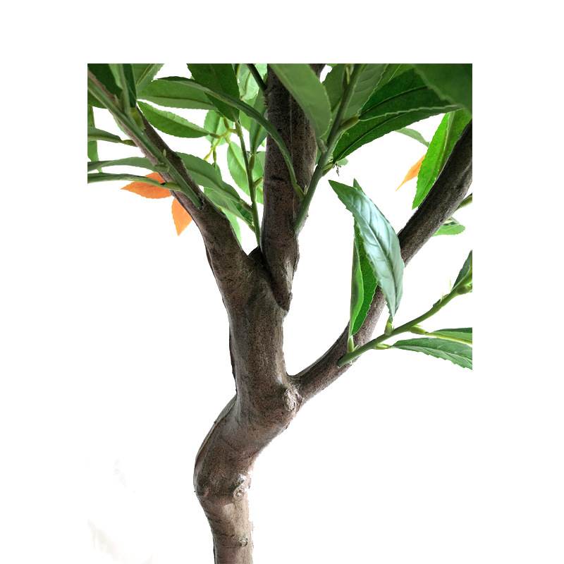 XRS-076 新桂花1 (1).jpg